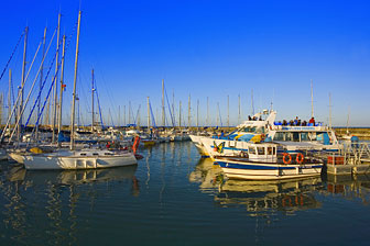 cruise on a catamaran