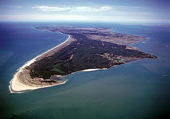 oleron's beaches seen from the sky